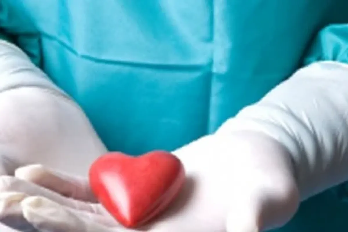 Türkiye’de 24 Bin Hasta Organ Nakli Belkiyor
