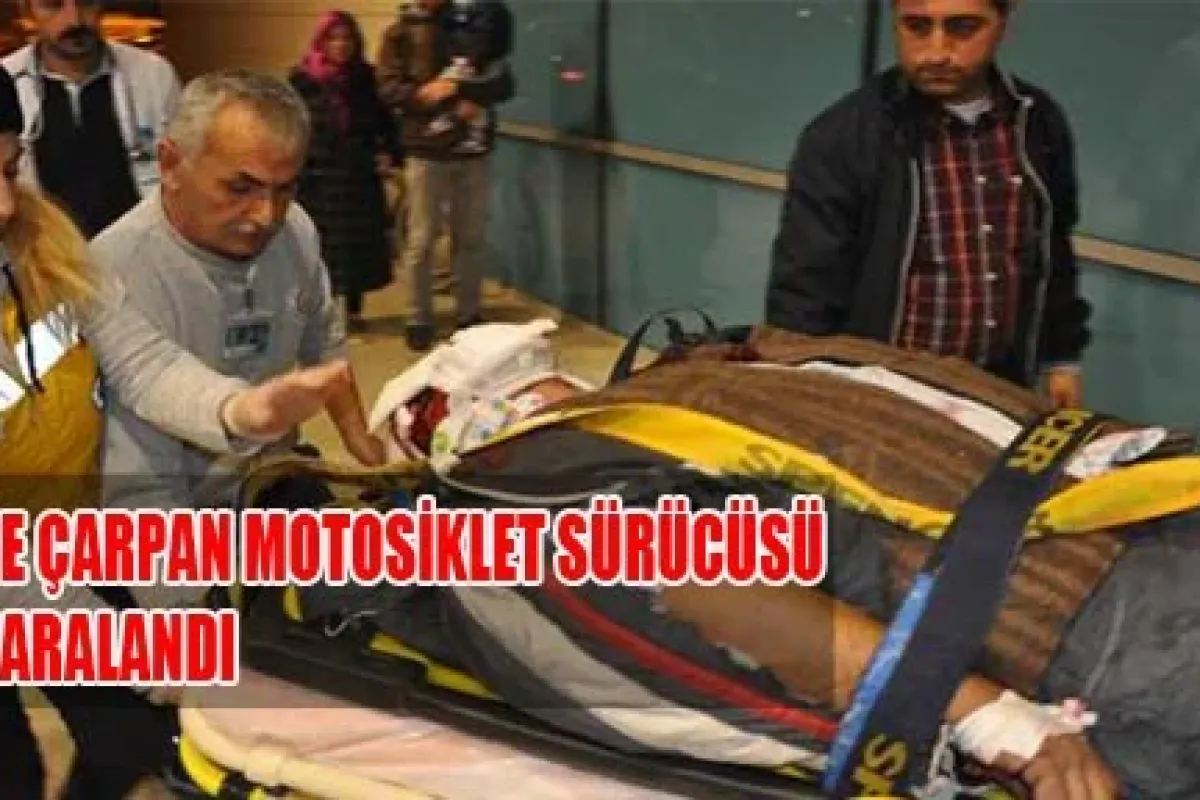 Köpeğe Çarpan Motosiklet Sürücüsü Ağır Yaralandı