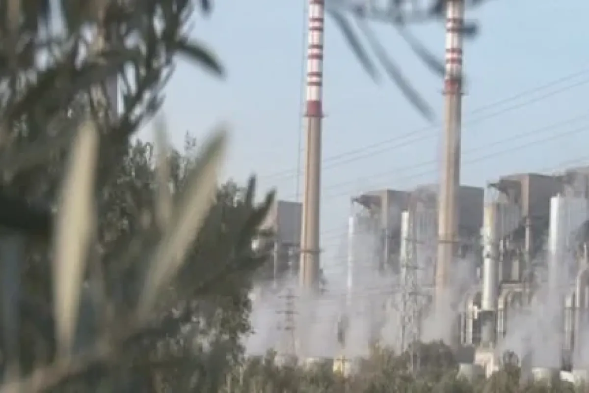 Yırcalı’daki Zeytinliklerde Sessiz Bekleyiş