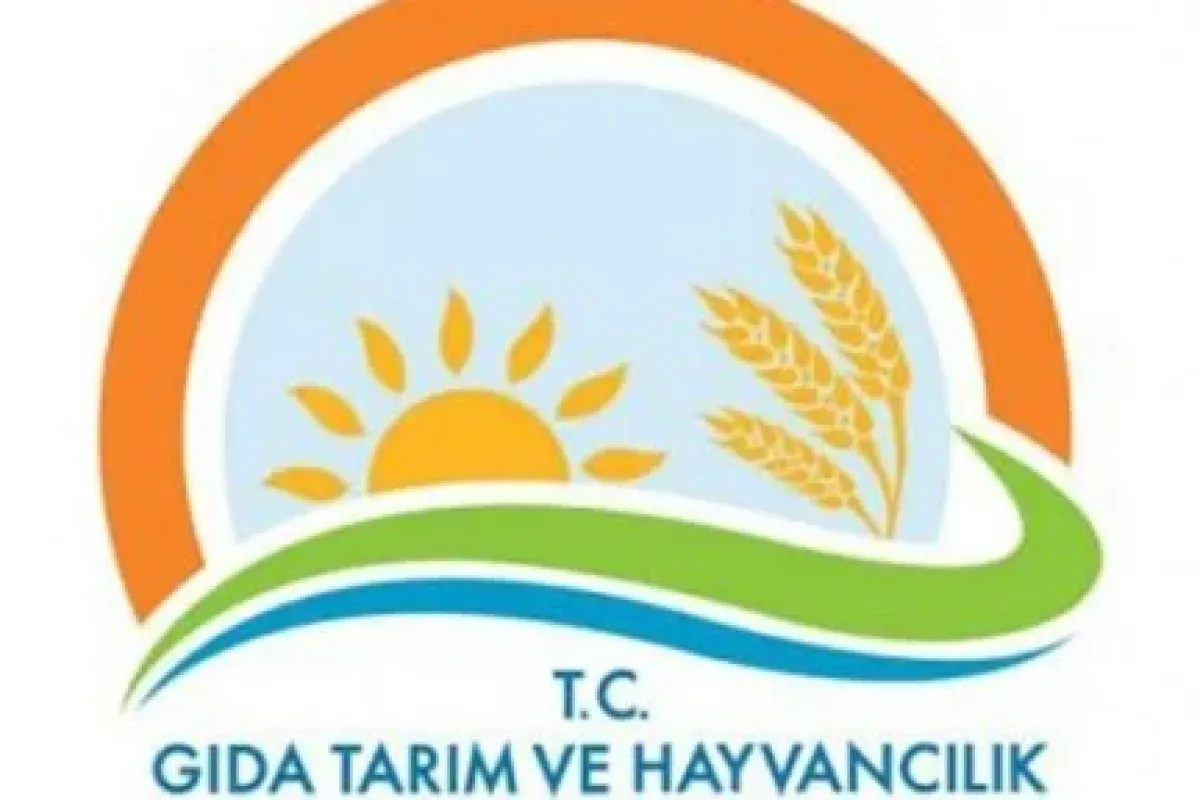 Bakanlıktan Reza Zarrab Yalanlaması