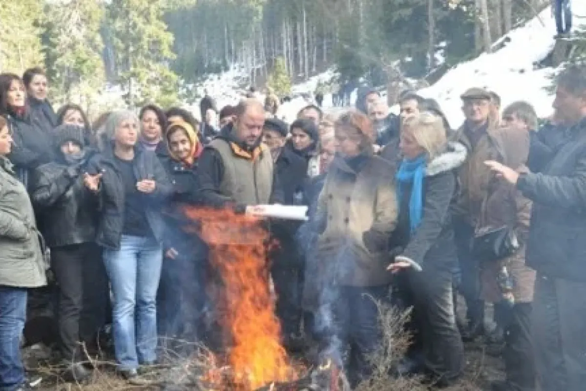 Yine Ağaç Eylemi
