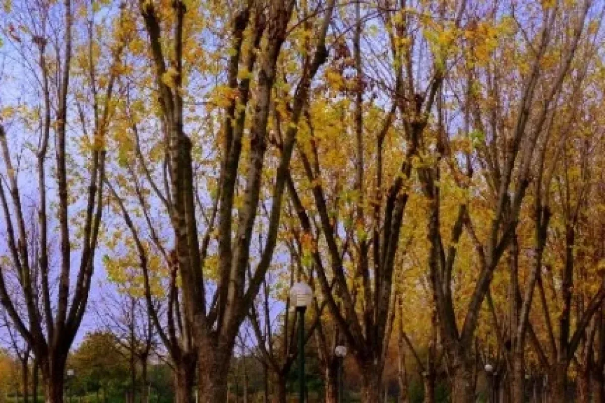 Eşsiz Sonbahar Manzaraları