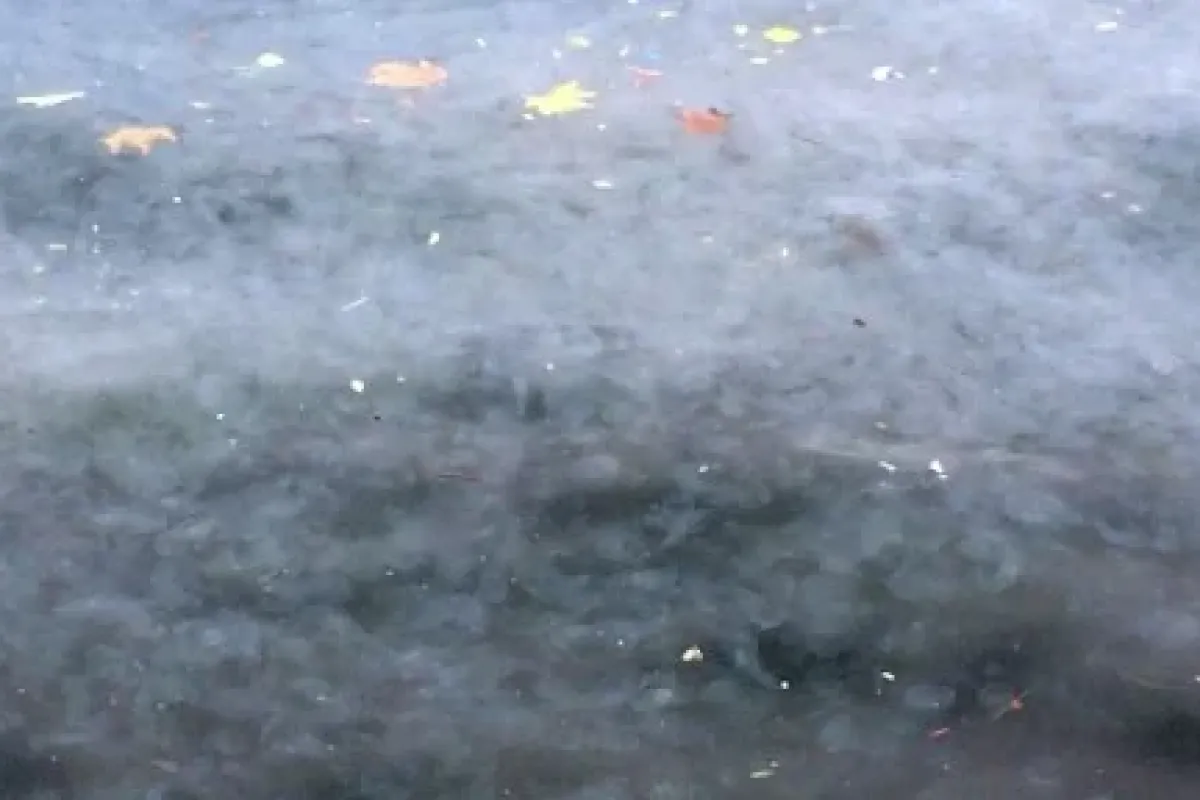 İstanbul Boğazı’nı Istila Ettiler
