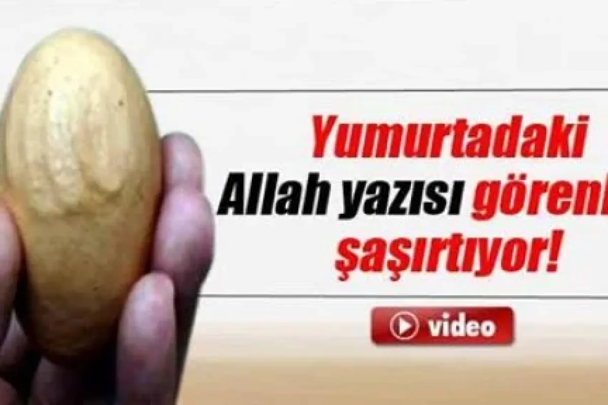 Yumurtadaki Allah yazısı görenleri şaşırtıyor!