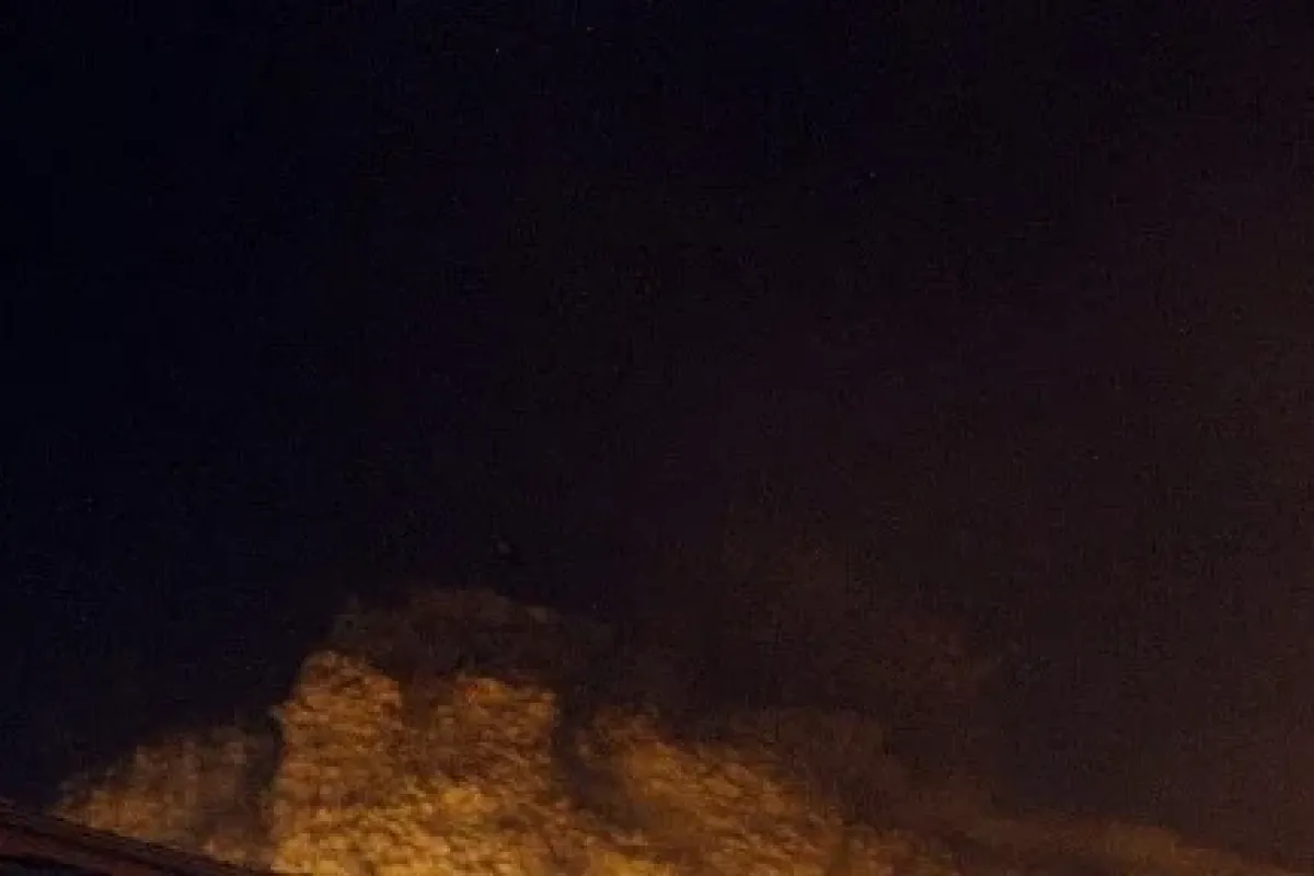 Aldatıldığına şahit Olunca Kayalıklara çıktı