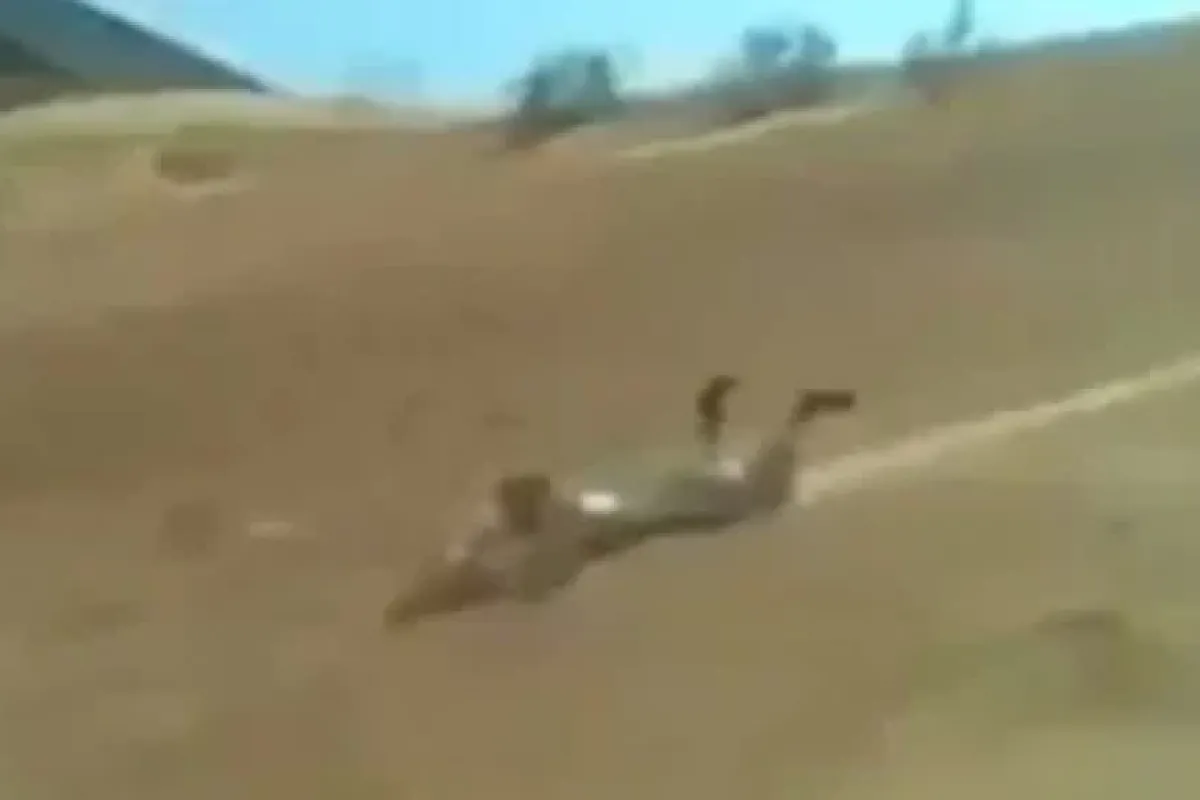 Bu Da çöl Kayağı