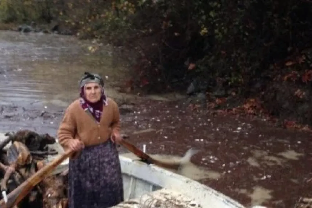 Balık Yerine Odun Avlıyorlar