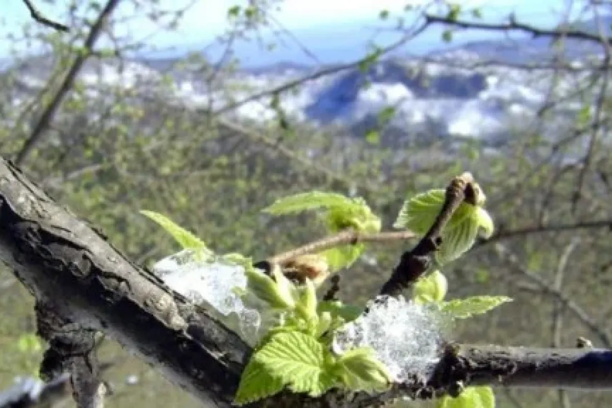 Meteorolojiden Don Uyarısı