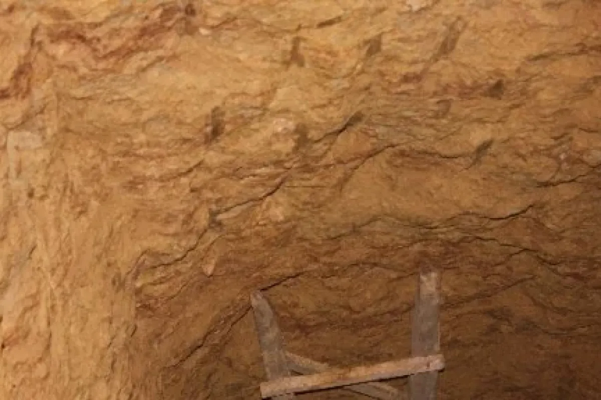 Jandarma Bile şaşkına Döndü