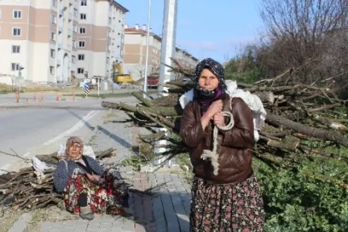 Tek Hayalleri Sıcak Bir Yuva
