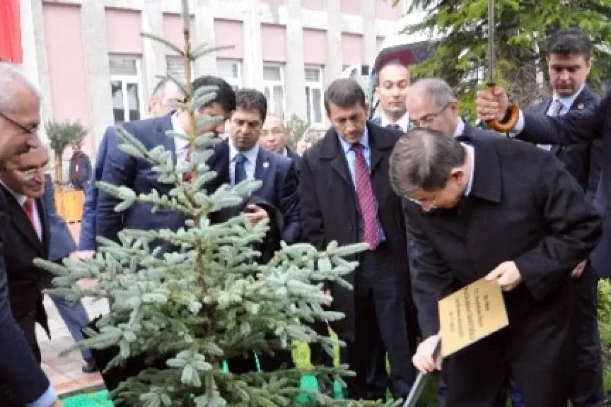 Davutoğlu Ağaç Dikti