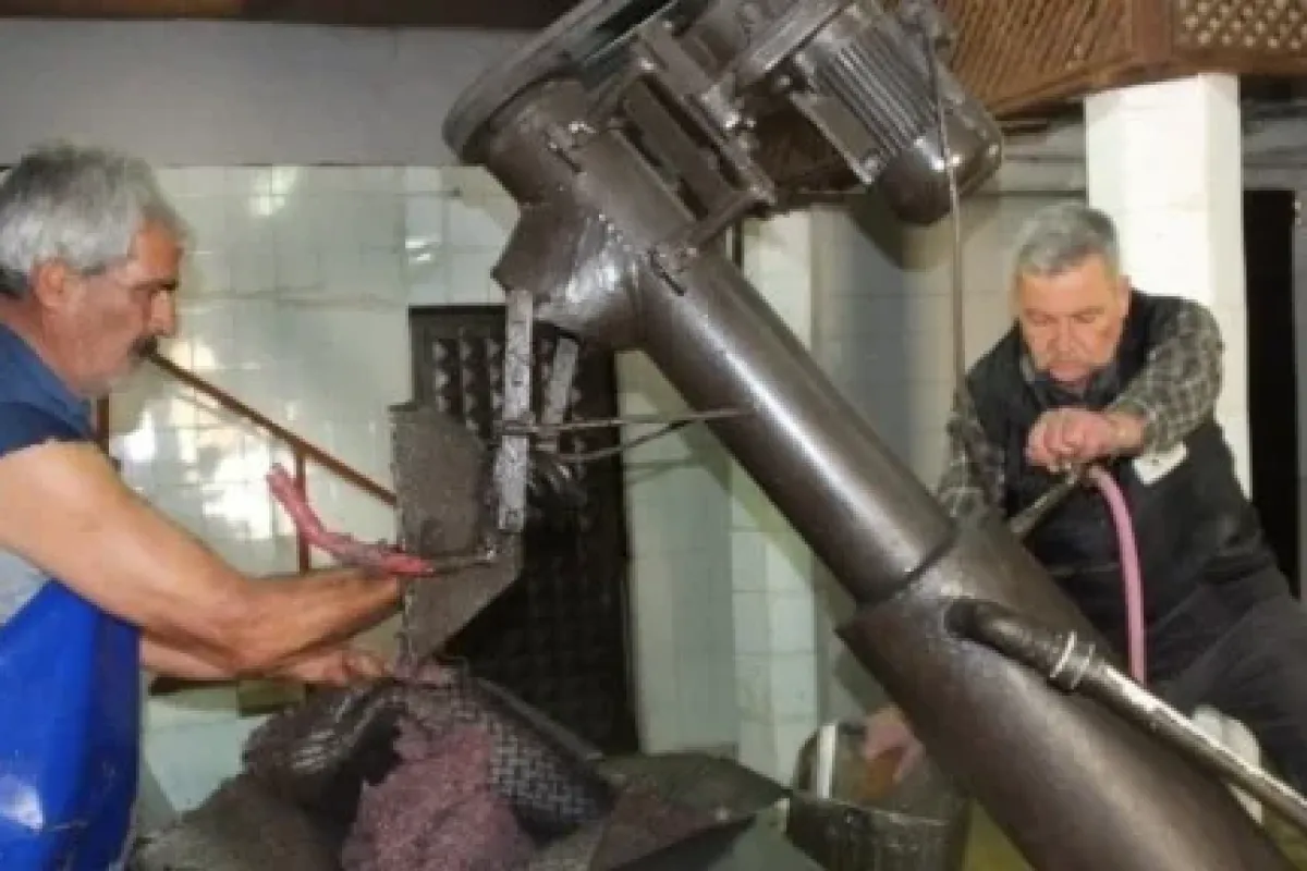 Tam Bir Asırlık
