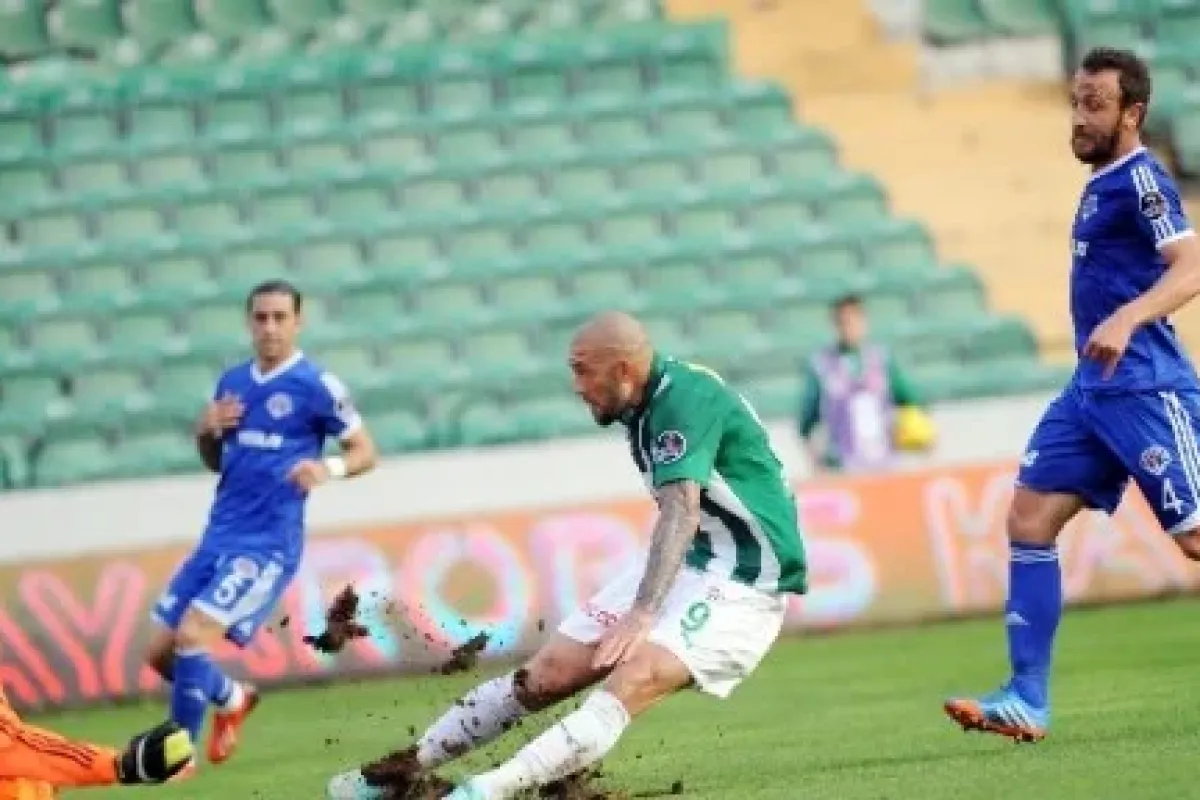 Timsah Fark Attı