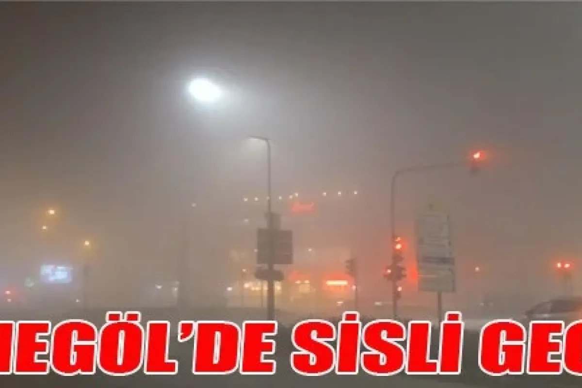 Yoğun Sis İnegöl'ü Teslim Aldı