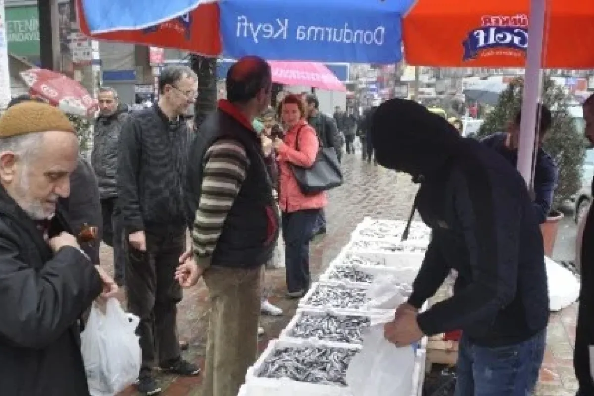 Hamsinin Kilosu 2,5 Liraya Düştü