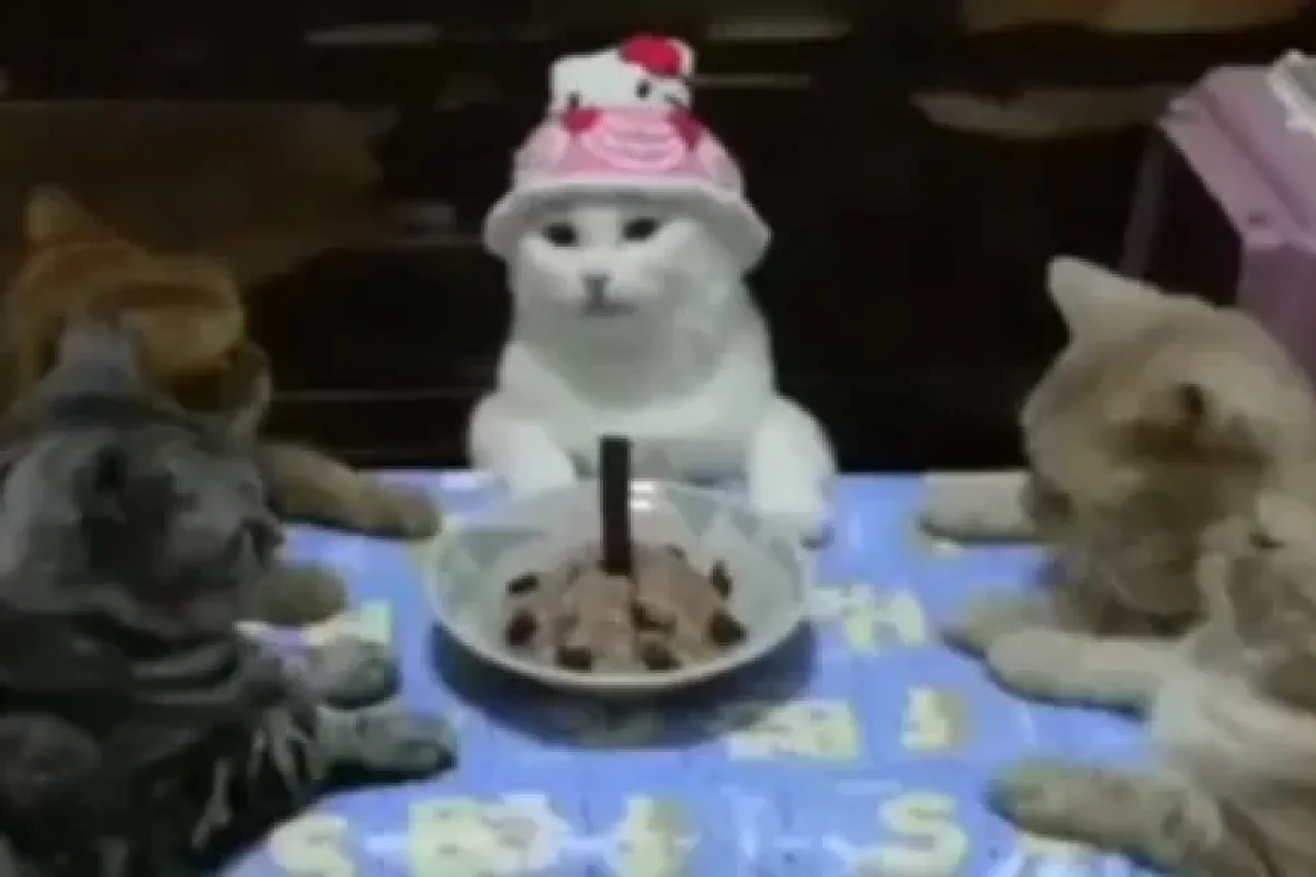 En Tatlı Doğum Günü çocuğu