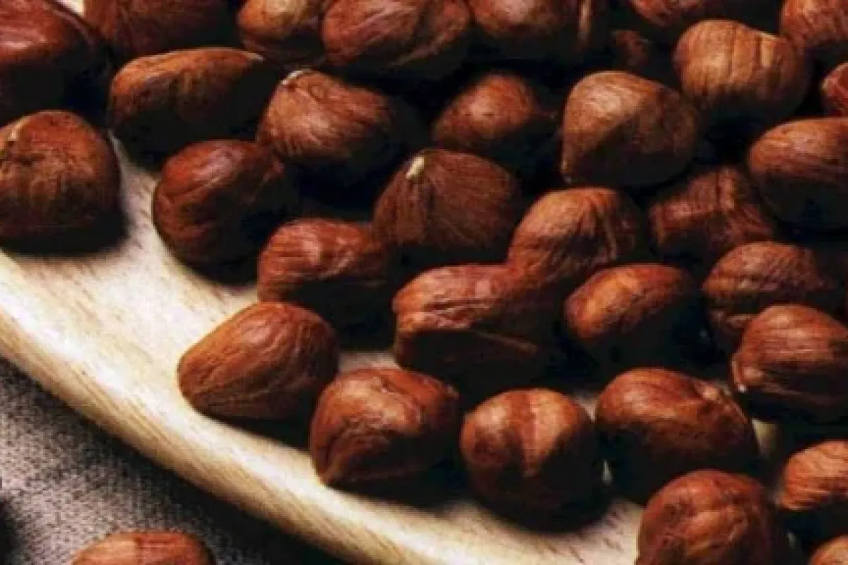 Fındığın Marifeti Büyük