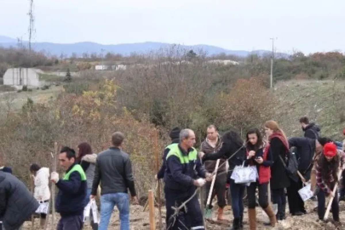 319 Maden şehidi Anısına 319 Fidan