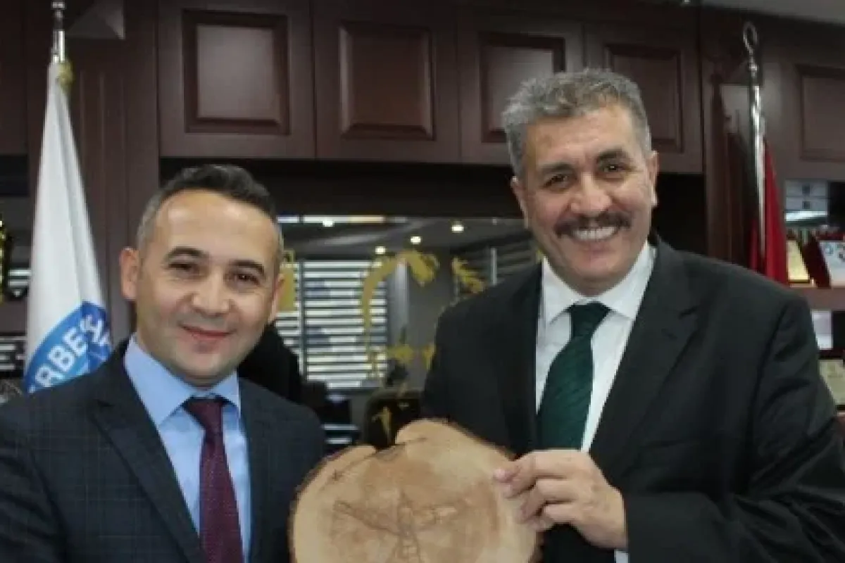 Ağaç Kütüğünde Dikkat çeken Figür