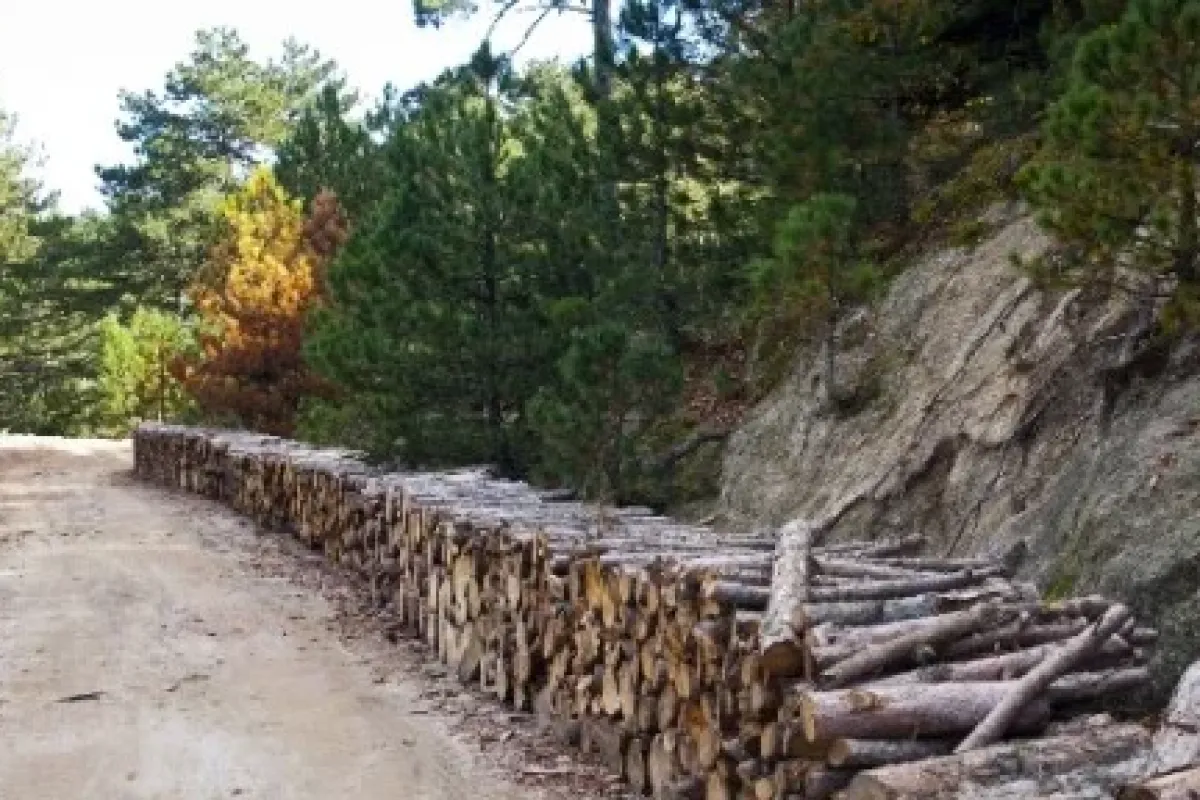 Kaz Dağları’ndan Ekonomiye Büyük Katkı