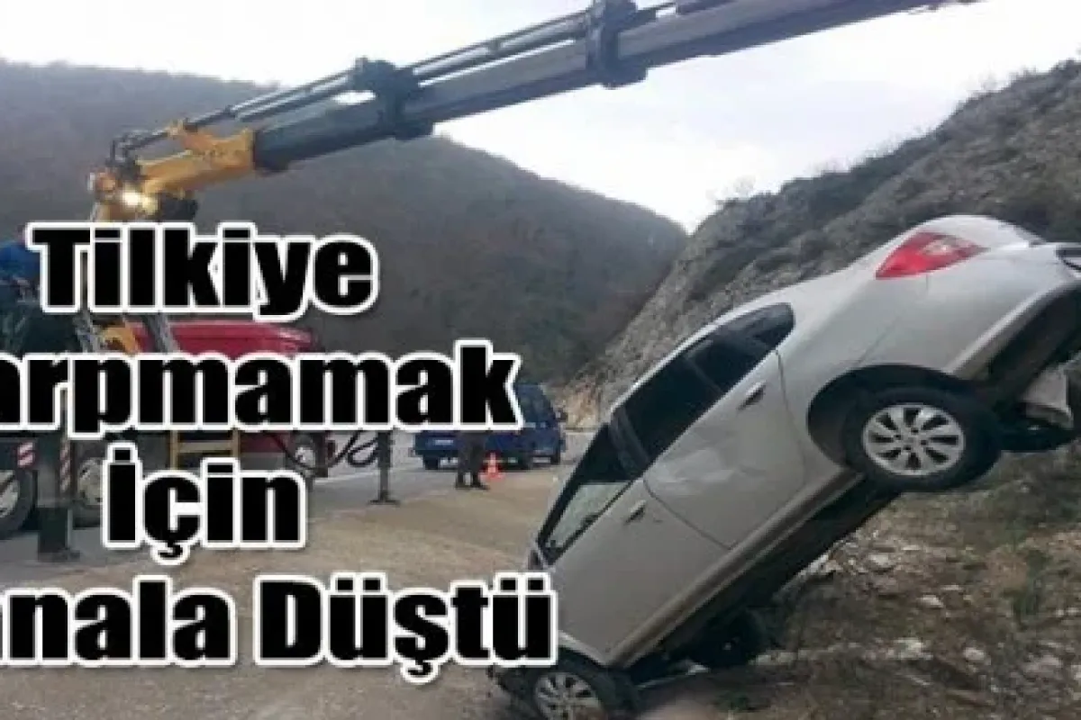 İnegöl'de Tilkiye Çarpmamak İçin Kanala Düştü