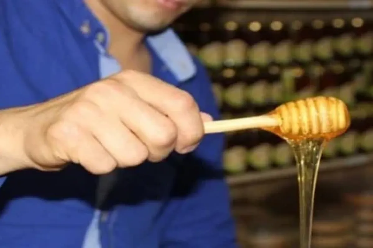 Kaliteli Bal Nasıl Anlaşılır ?