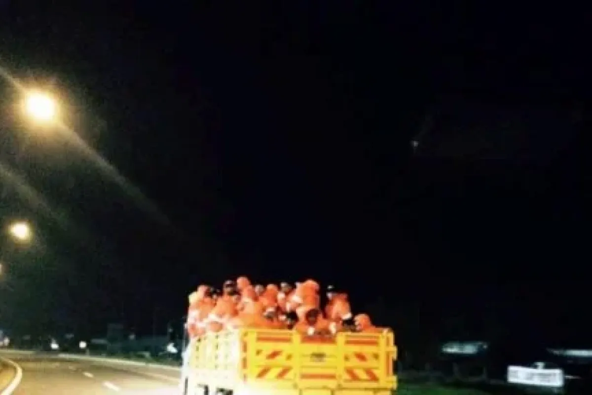 Kamyonet Kasasında Tehlikeli Yolculuk