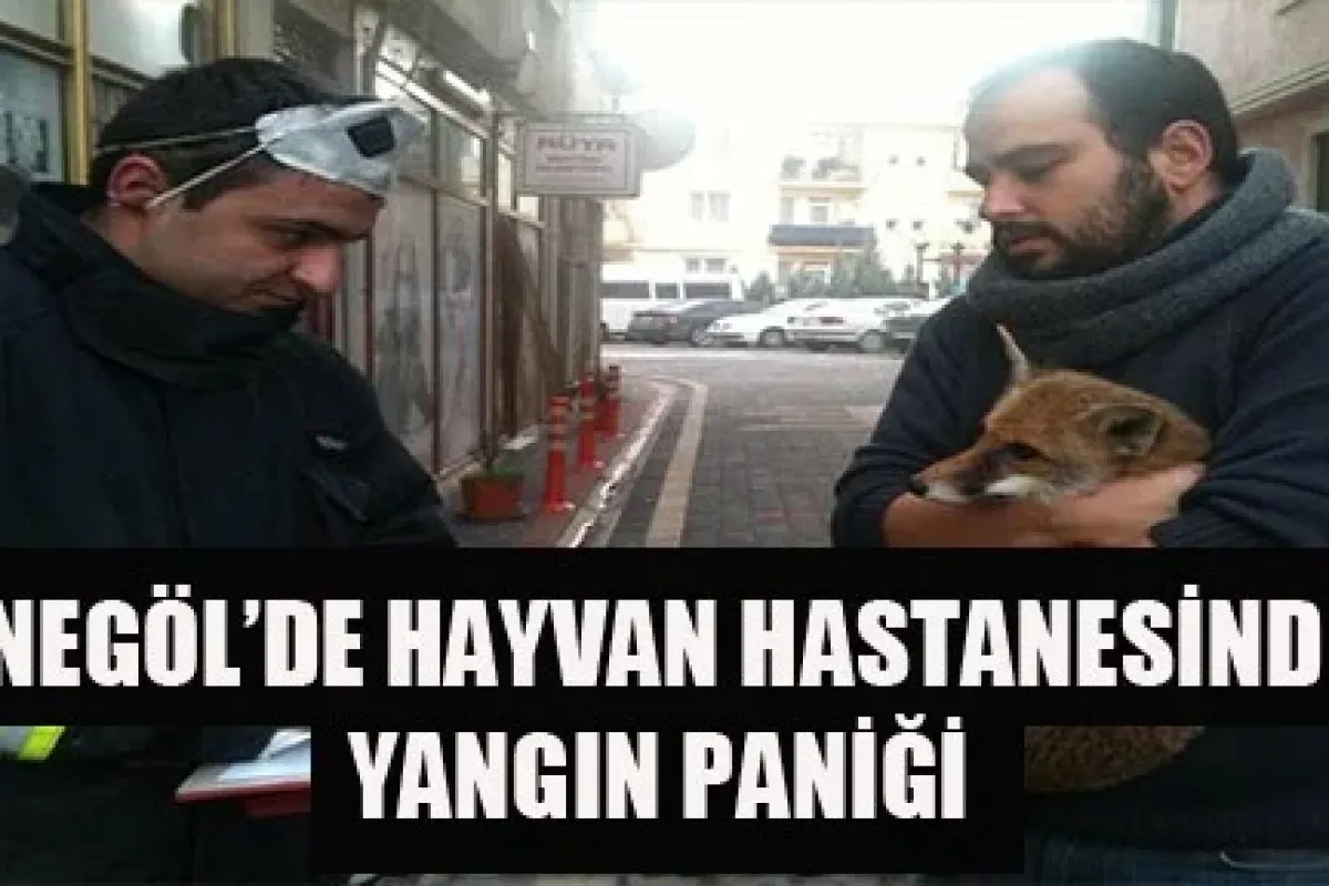 İnegöl'de hayvan hastanesinde yangın paniği