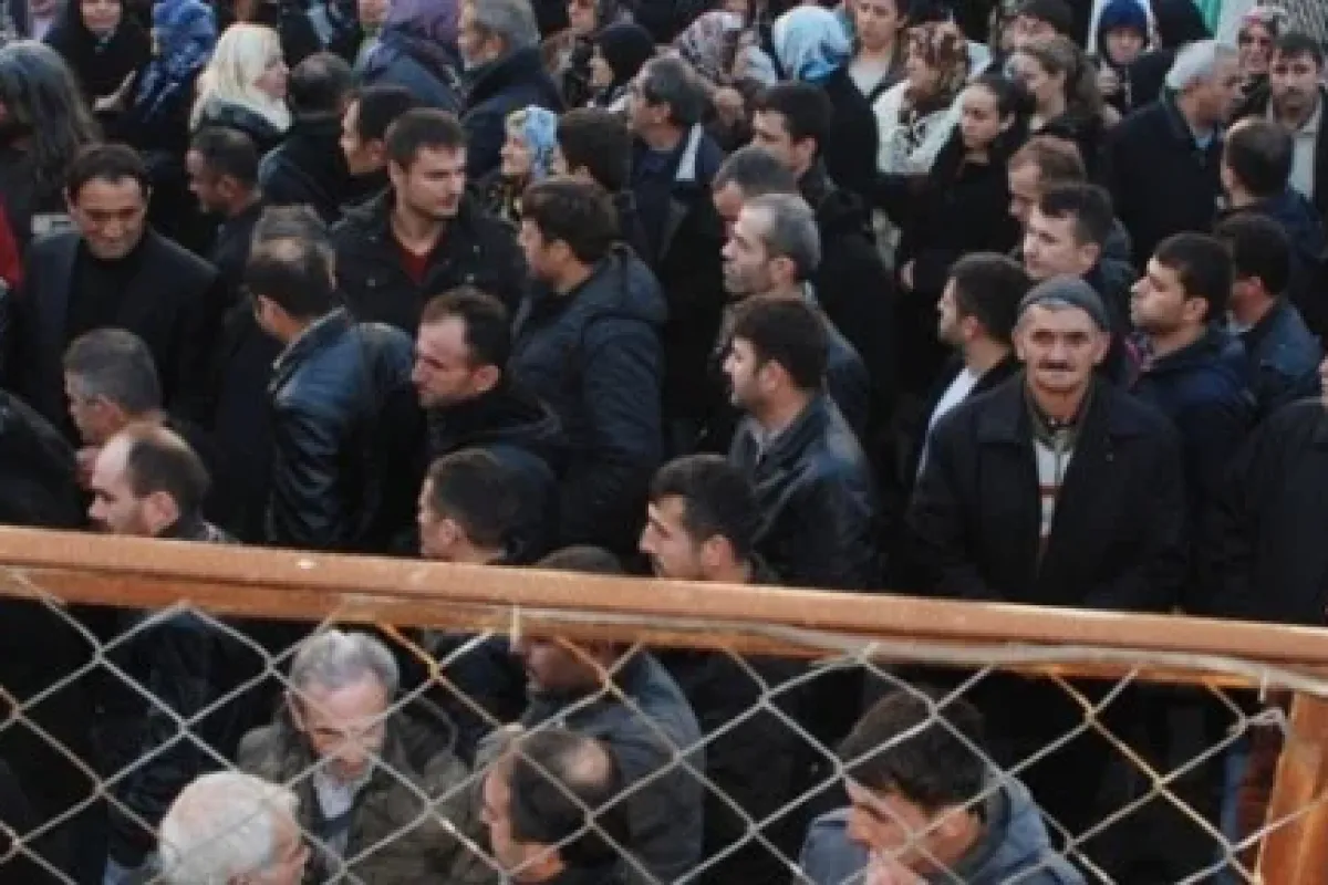 Meslektaş Dayanışması