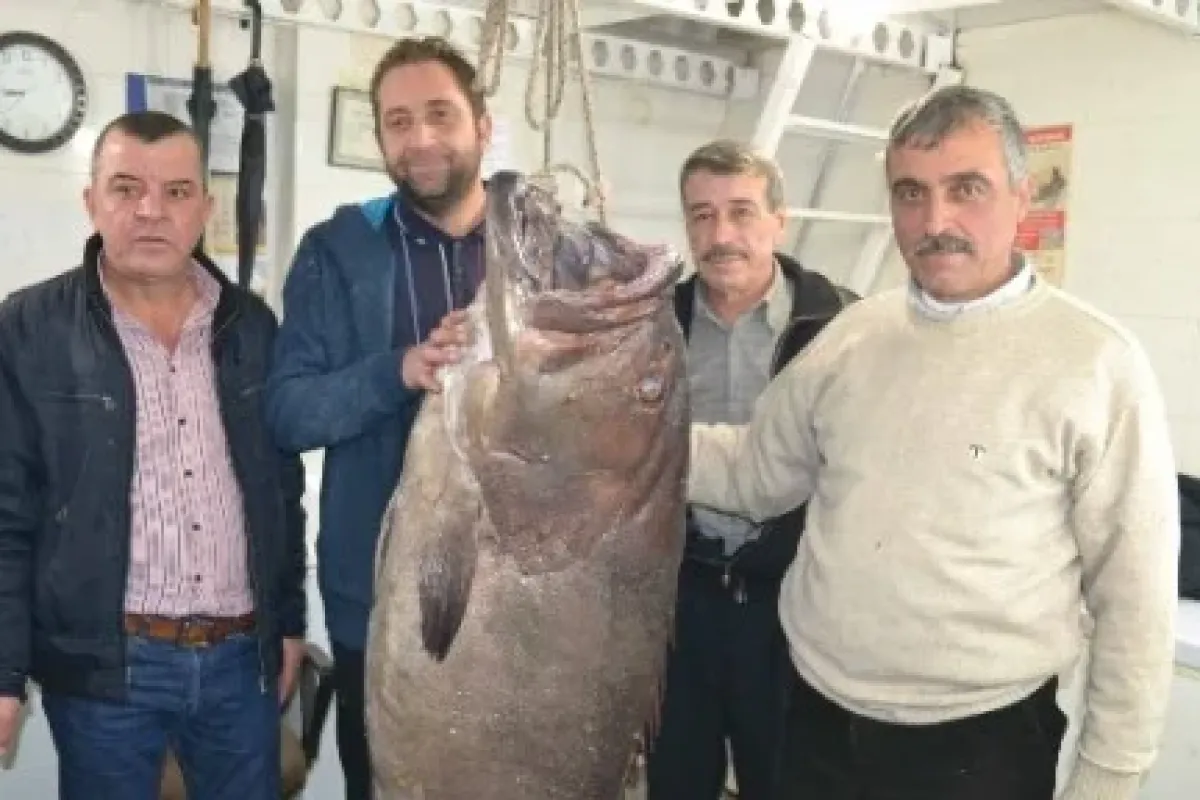 Tam 66.5 Kilo !