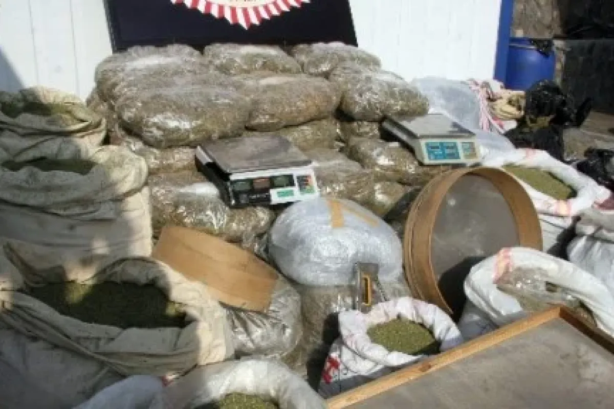 Yok Artık: 532 Kilo