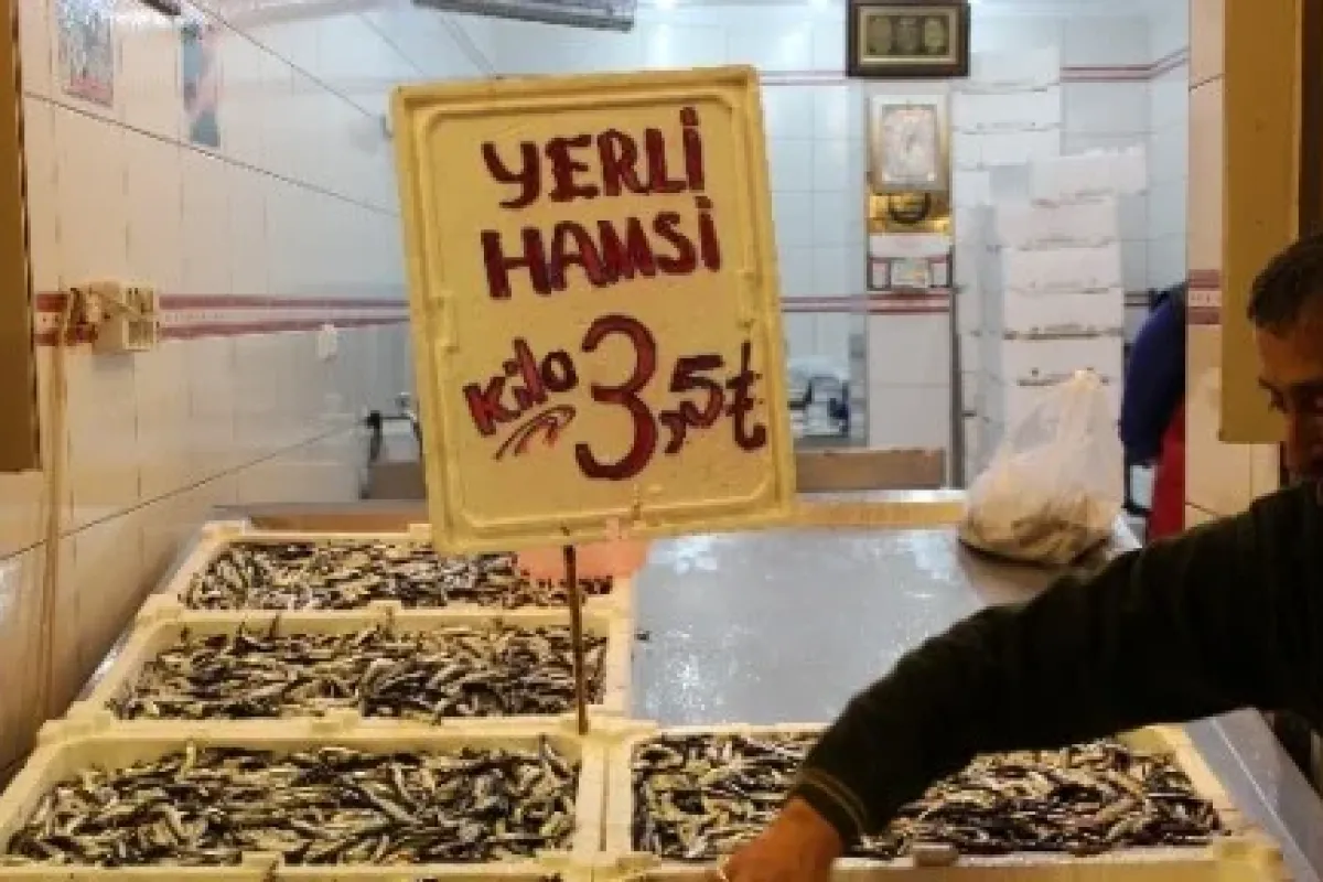 Müjde Hamsi 3.5 Tl’ye Düştü