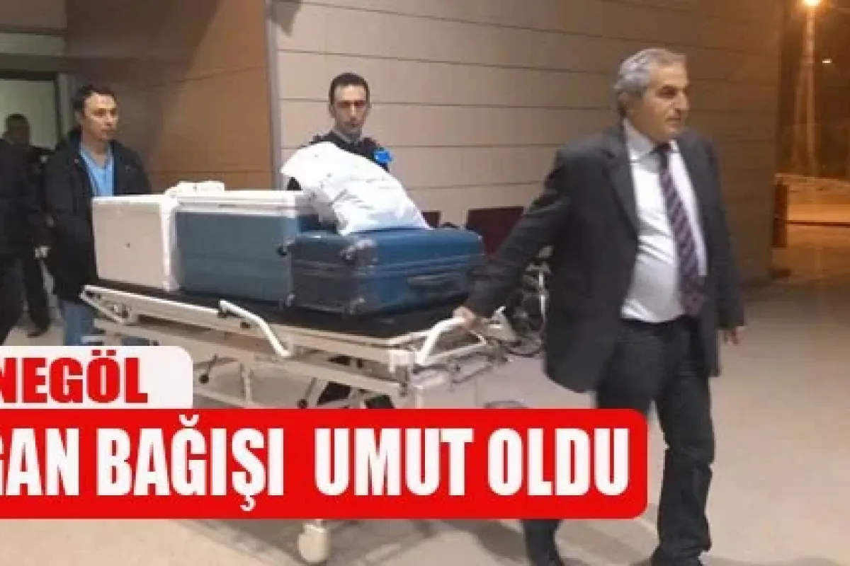 Organ Bağışı Umut Oldu