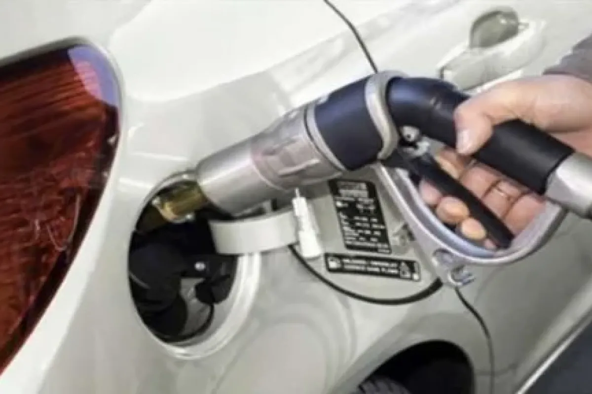 Lpg üretimi Yüzde 1,7 Arttı