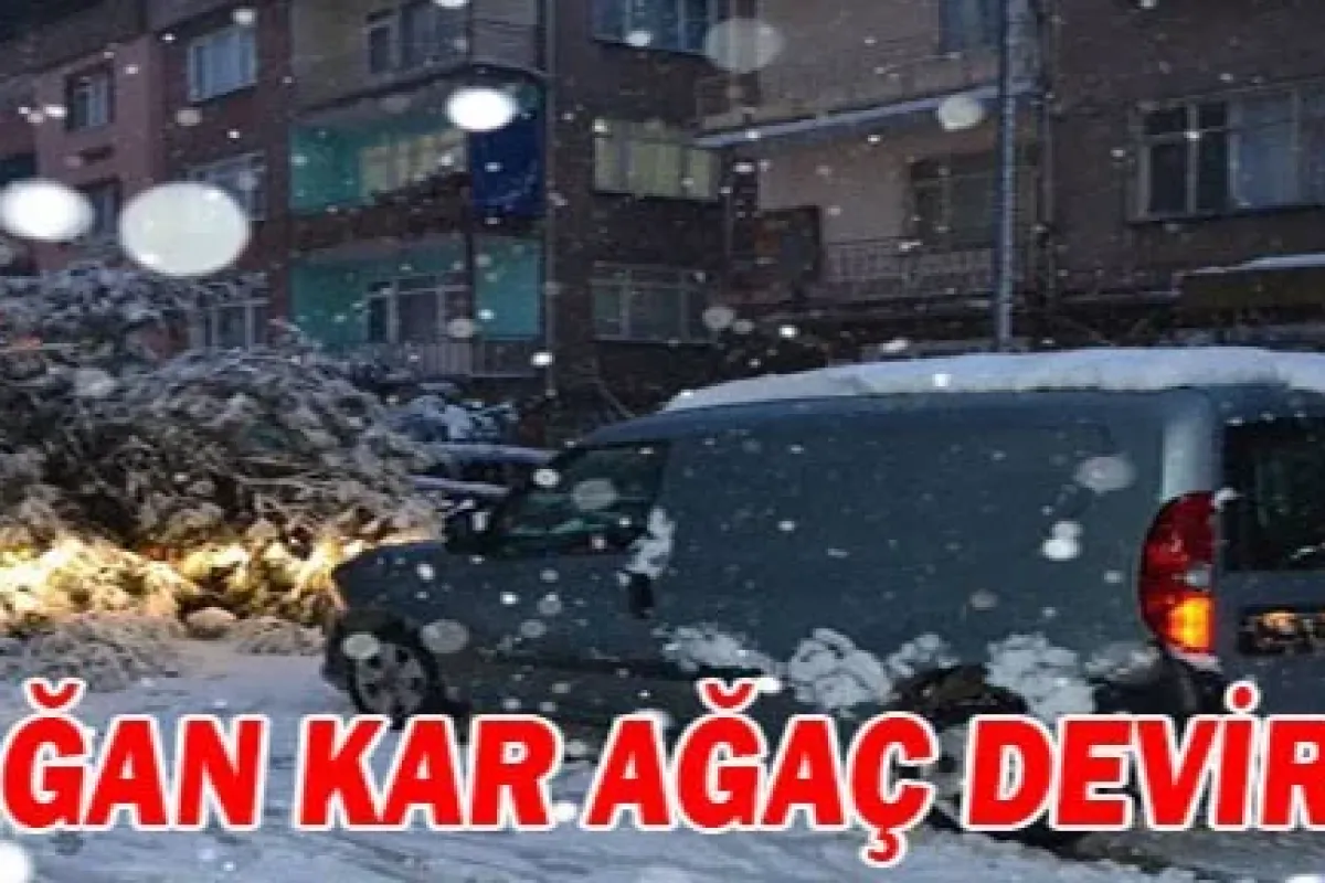 İnegöl'de yağan kar ağaç devirdi