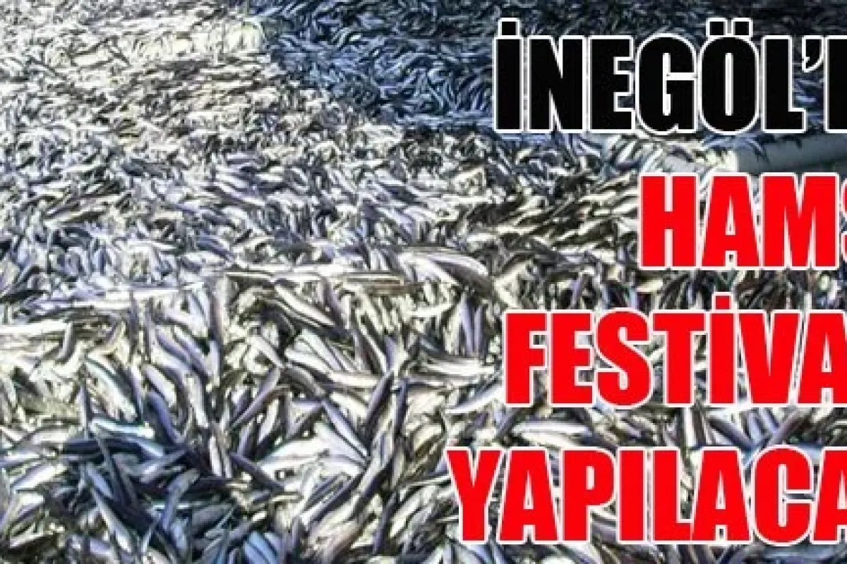İnegöl'de Hamsi Festivali Yapılacak