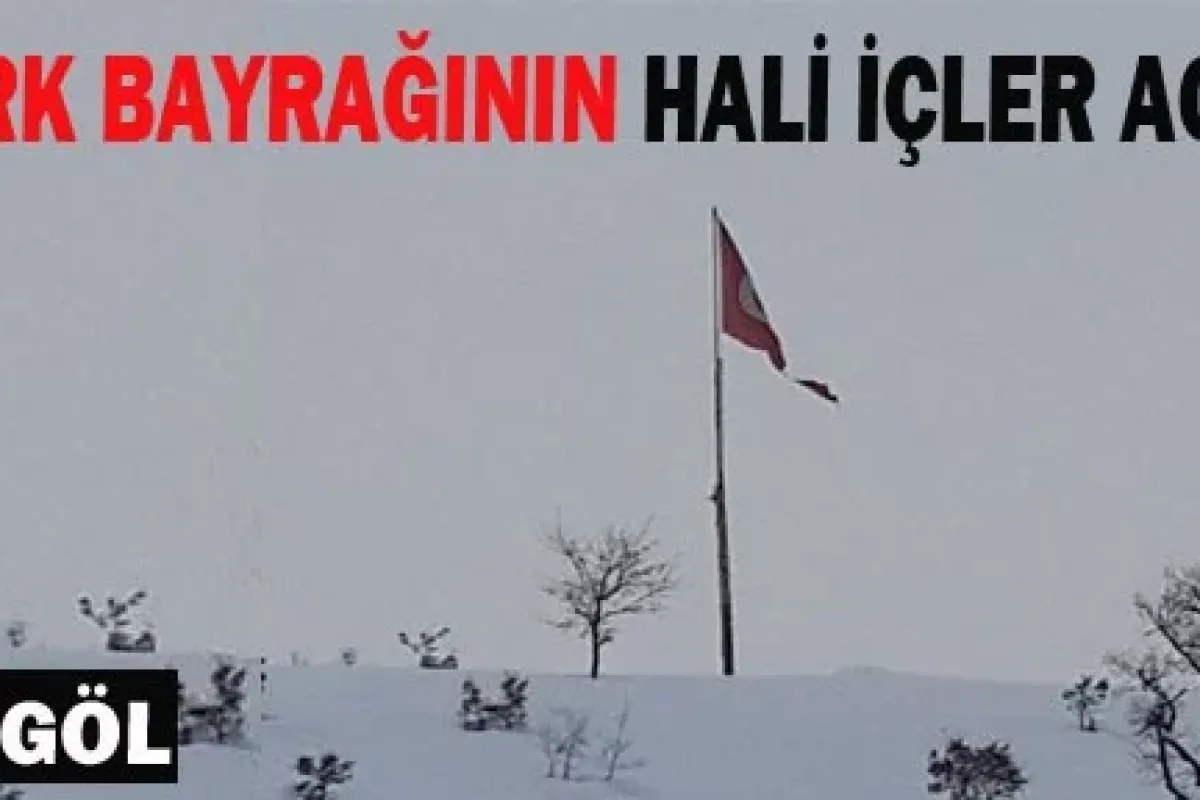 Türk Bayrağının Hali İşler Acısı...