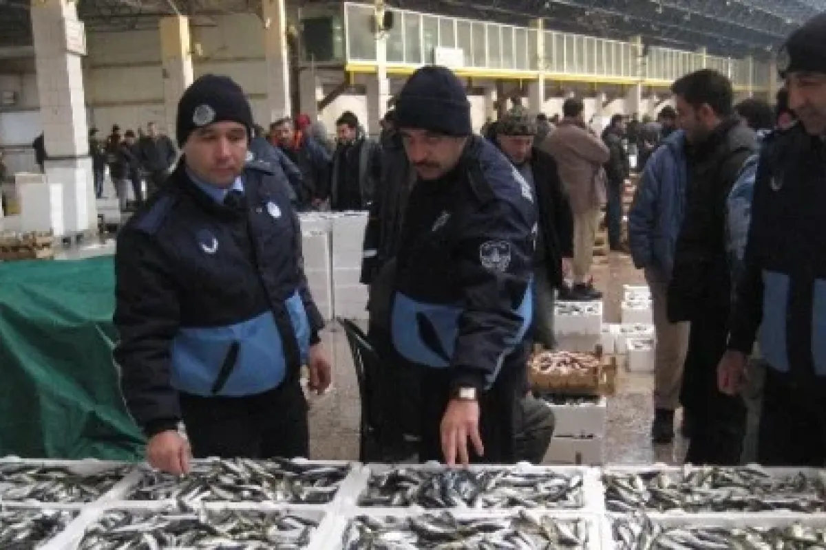 Zabıta Balık Denetimine çıktı