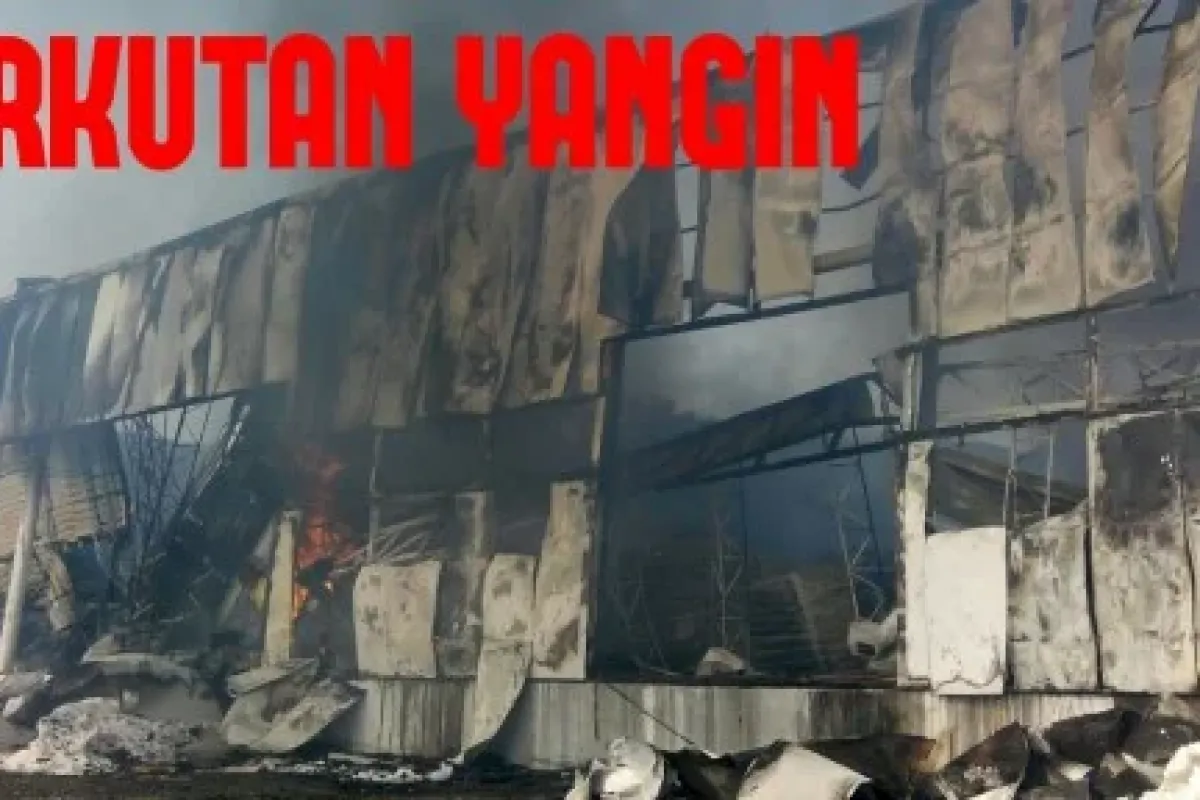 Yenice'de Korkutan Yangın