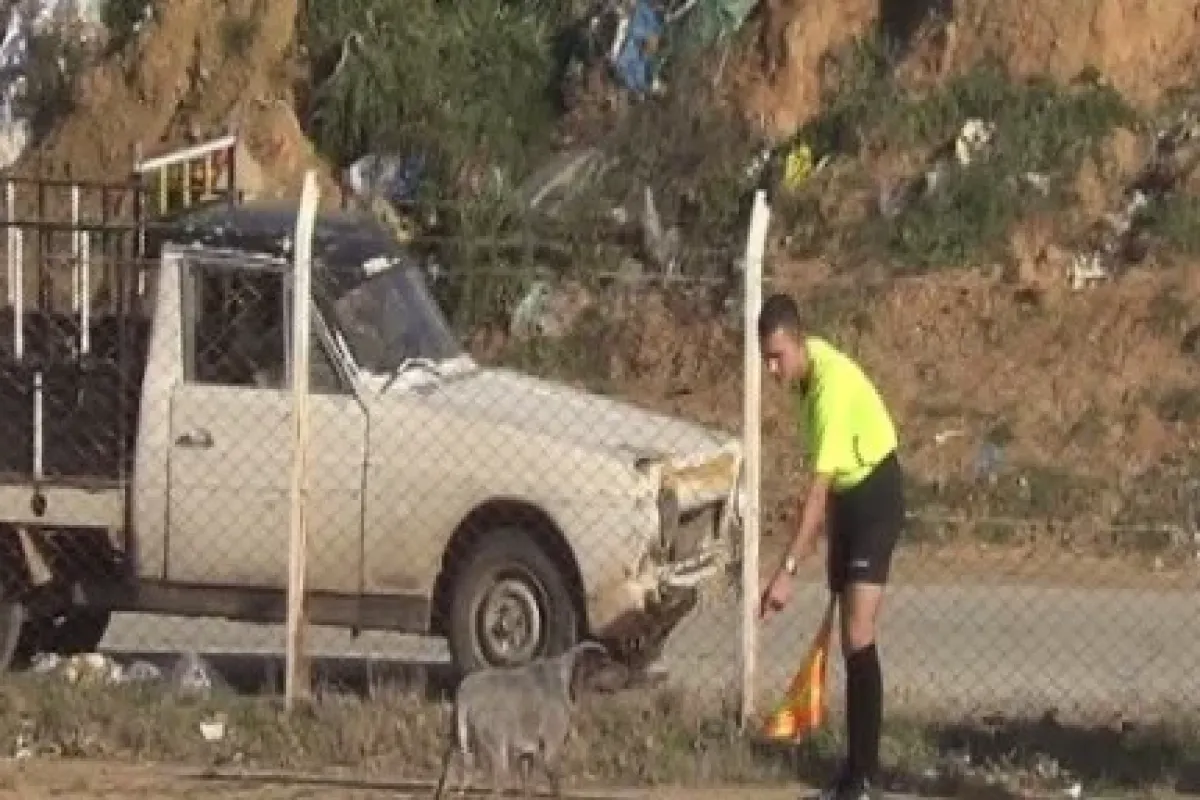 Maç Sırasında Sahaya Köpek Girerse...