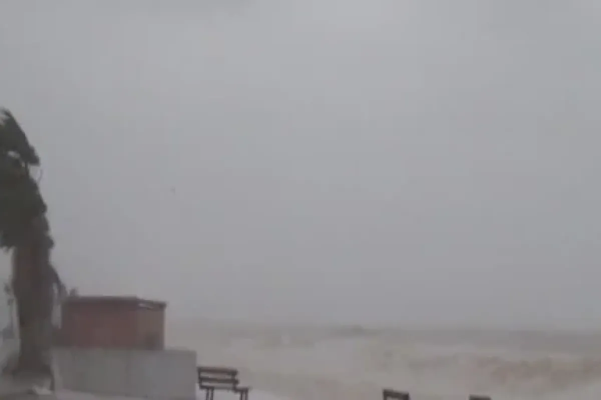 Tsunami Gibi !
