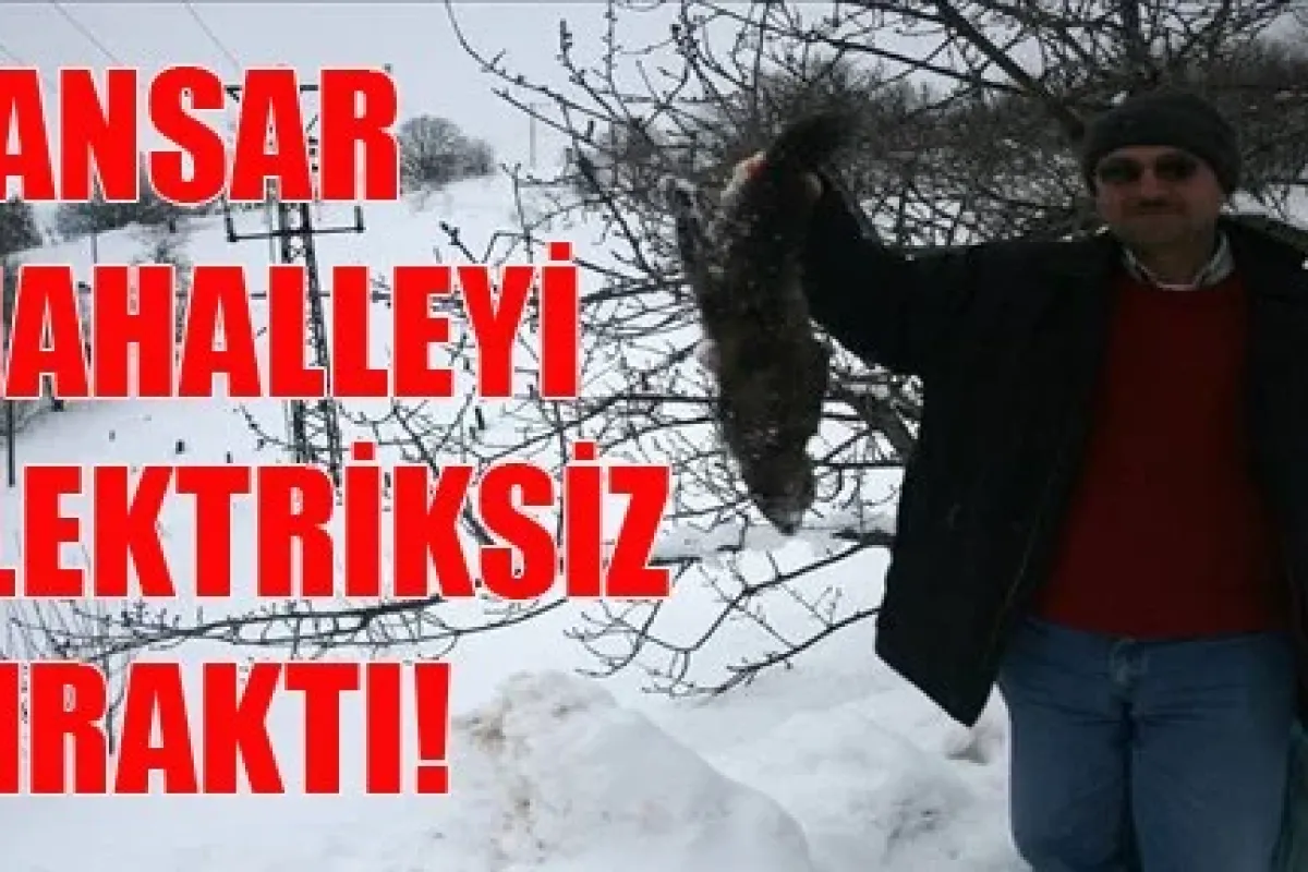 Sansar Mahalleyi Elektiriksiz Bıraktı!