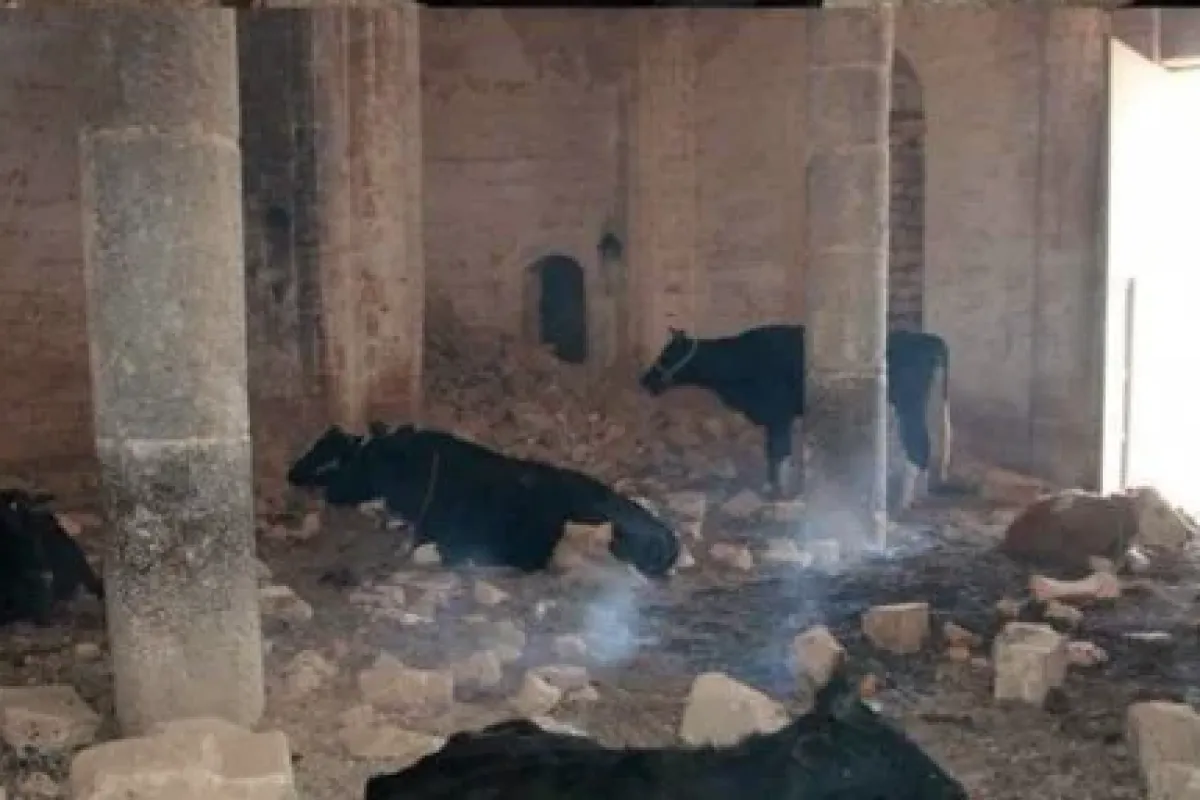 Tarihi Kilise Ahır Oldu