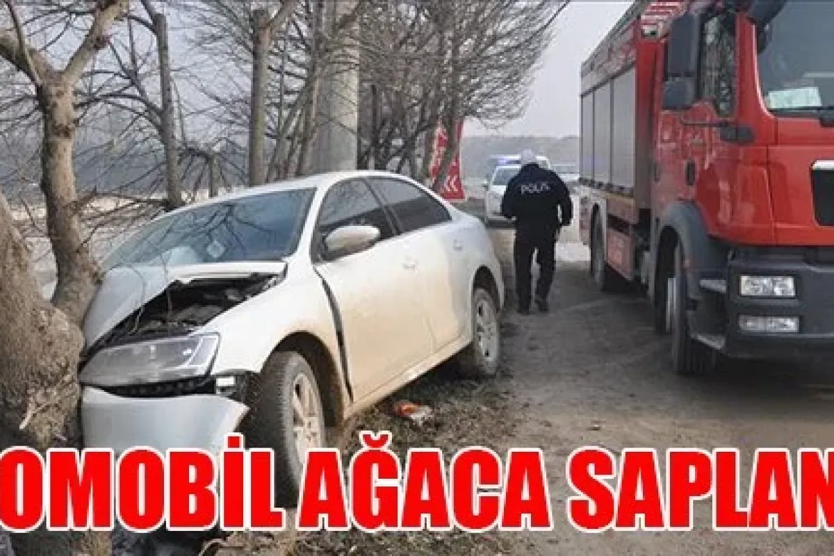 Otomobil ağaca saplandı