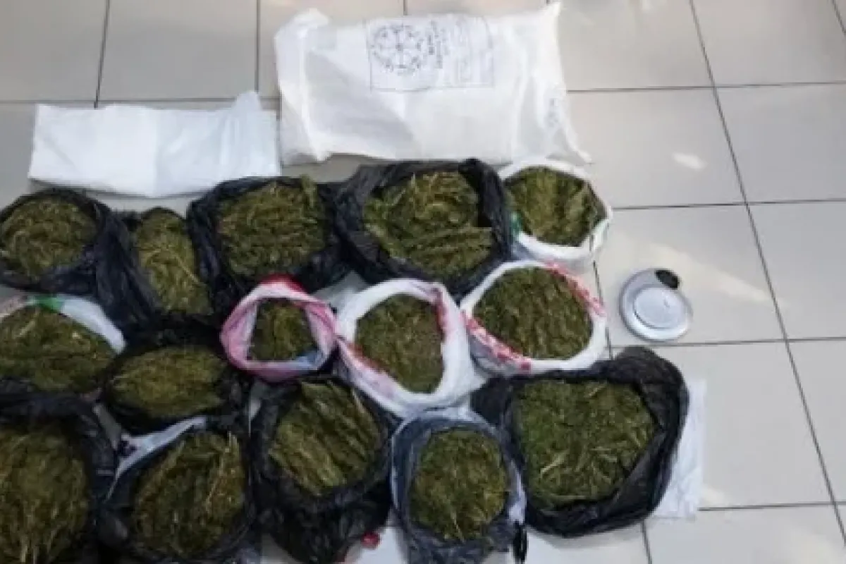 Tam 14 Kilogram