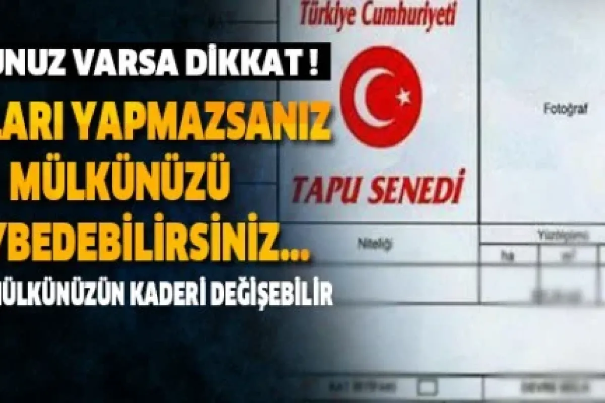 Tapunuz elden gitmesin!