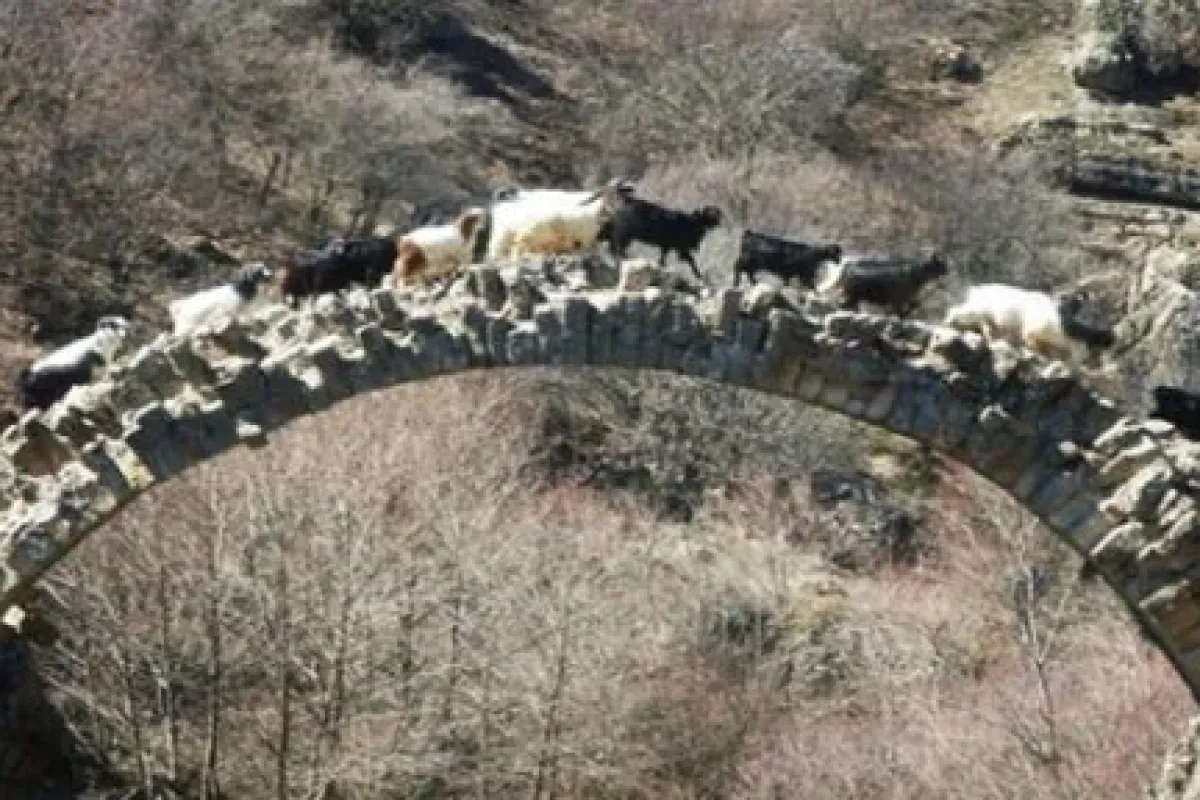 Tarihi Taş Köprü Tescil Edildi