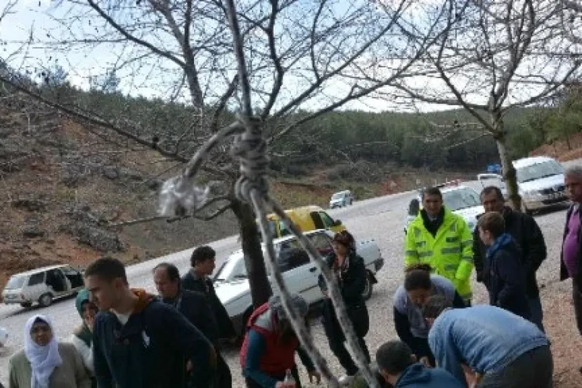 Vatandaşlar Ipten Aldı