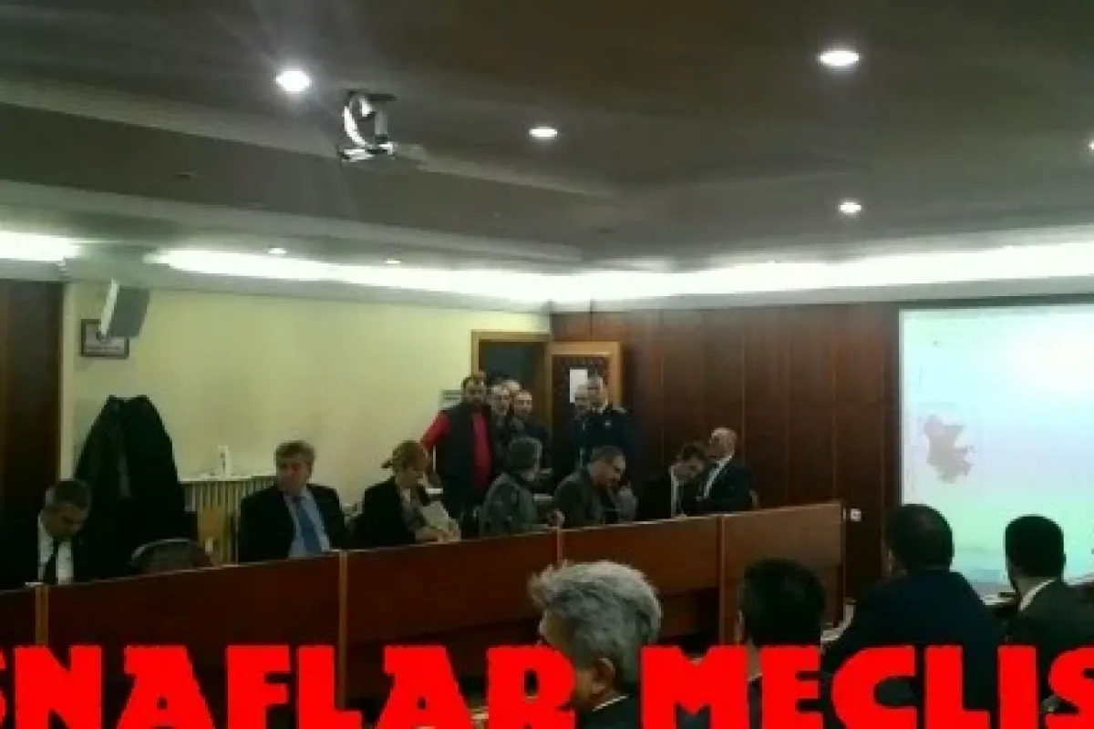 Esnaflar Mecliste