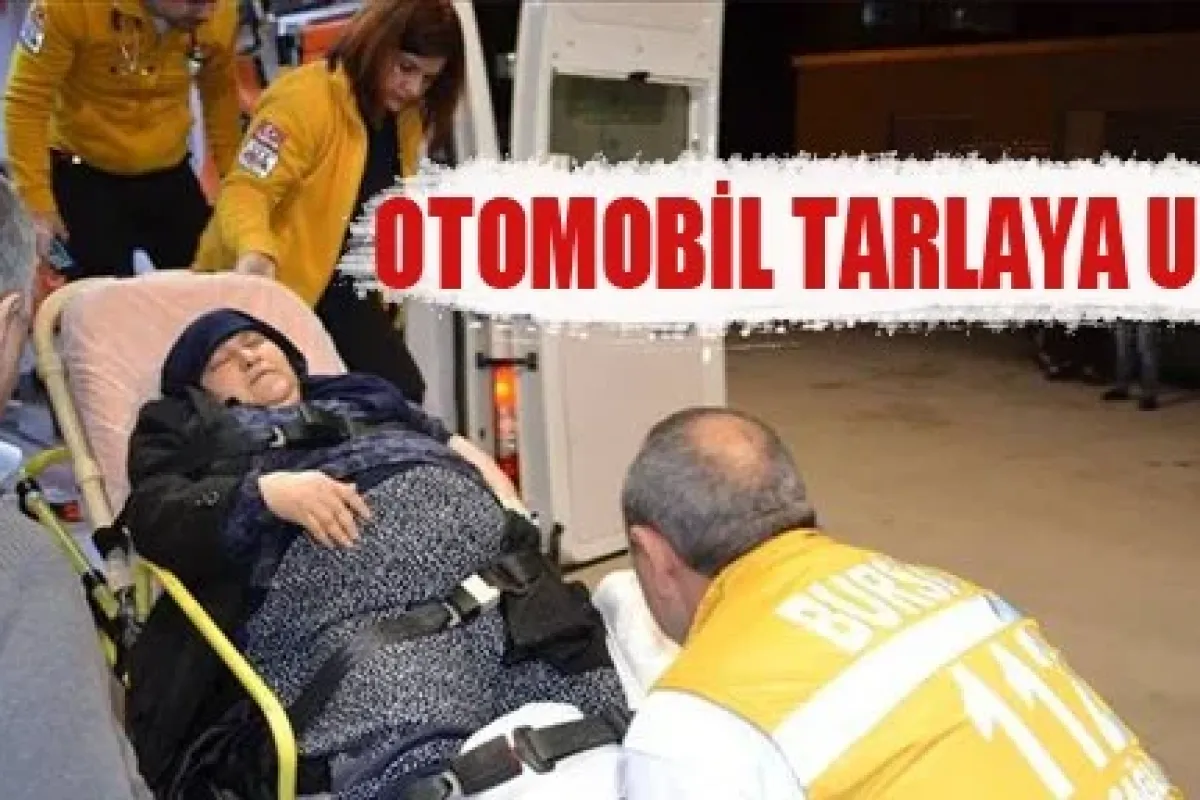 Oylat Yolunda Kaza